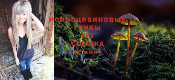 прущий лед Алзамай