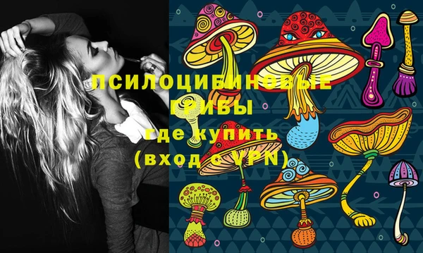 таблы Алексин
